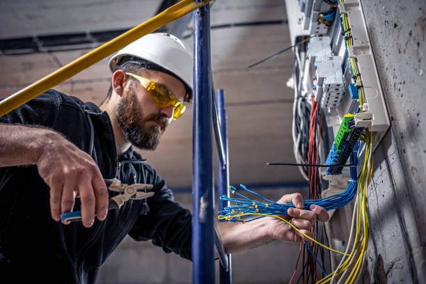 Best Electric Panel Repair  in Forest View, IL
